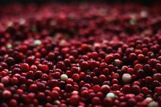 Understanding and Treating UTIs: The Power of Cranberry